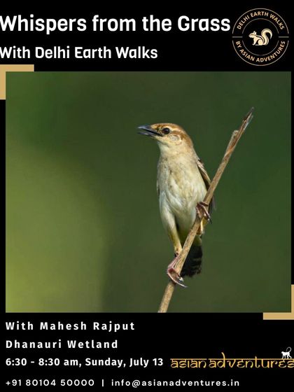 Urban Bird Watching photo 27