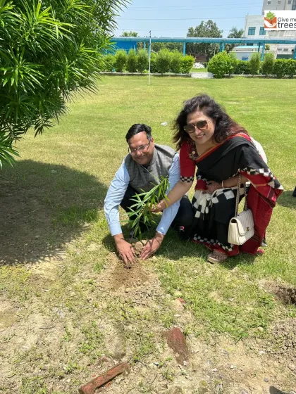 Partnering with the Rotary Club to green an industrial area in Greater Noida. Bringing trees to these pollution hotspots helps improve air quality and creates a better working environment for thousands of people.