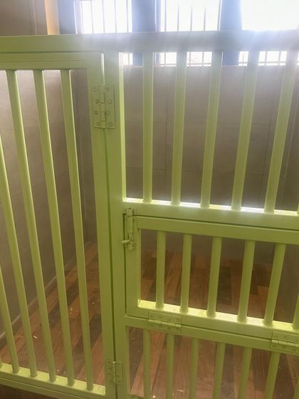 We chose cheerful colors for the suites to create a positive and happy atmosphere for the dogs staying with us.