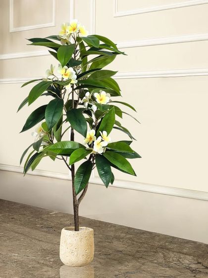 The artificial frangipani, or plumeria, tree with its delicate white and yellow flowers, evokes a sense of tropical paradise. It's a beautiful and serene addition to any living space.