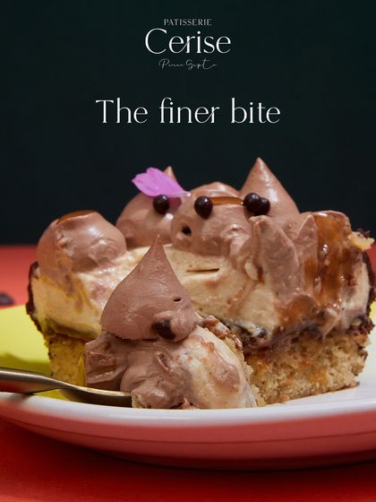 The finer bite. A close-up of a slice of my Go Nuts For Hazelnuts entremet, showing the intricate piping and the delicate flower petal garnish.