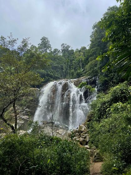 Shirley Falls in Yallapura, a serene spot surrounded by dense forest, perfect for a quiet moment with nature.