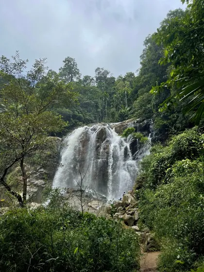 Shirley Falls in Yallapura, a serene spot surrounded by dense forest, perfect for a quiet moment with nature.