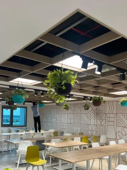 We utilize vertical space with creative hanging planter installations. In this office cafeteria, hanging plants draw the eye upward and add a playful yet sophisticated element to the communal dining area.