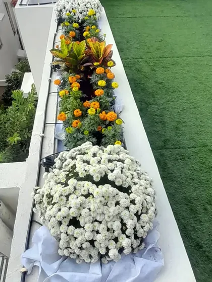 I love adding pops of color to a garden. Here you can see beautiful white chrysanthemums and marigolds that I arranged for a client's terrace, making it bright and cheerful.