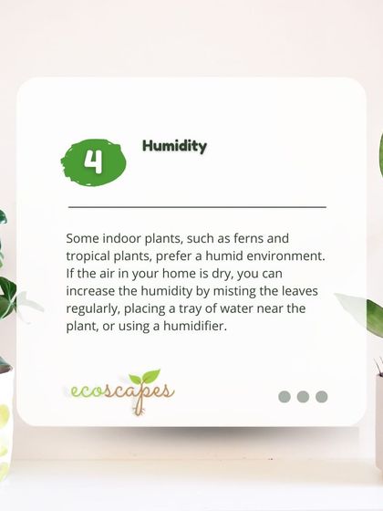 Ecoscapes Landscaping - Urban Gardening & Green Walls Urban Gardening Guides photo 27