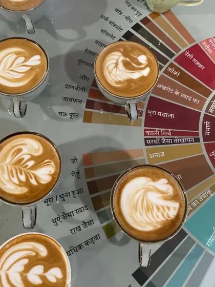 This is what we work towards. A collection of lattes, each with its own design, poured during one of our workshops. We focus on the basics of milk steaming and pouring to help you create your own art, right on top of our custom Hindi flavor wheel.