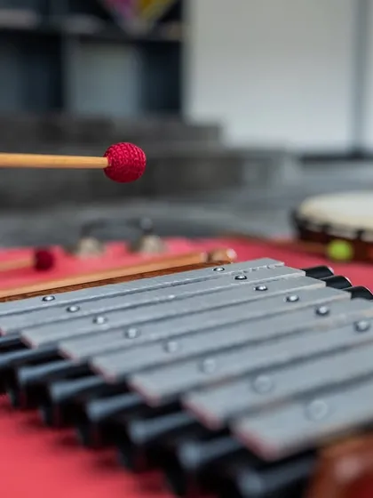 A close-up of a metallophone used during our sound healing sessions. The gentle, melodic tones contribute to the therapeutic sound bath, helping to calm the nervous system.