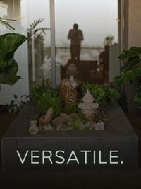 Indoor Plant Styling