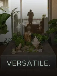 Indoor Plant Styling