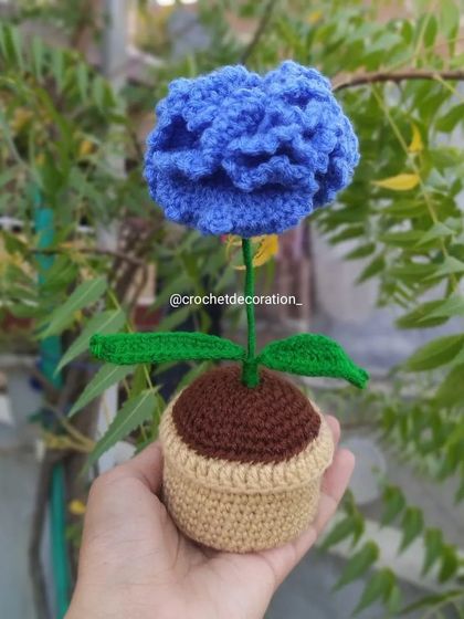 A single potted carnation in a lovely shade of blue.