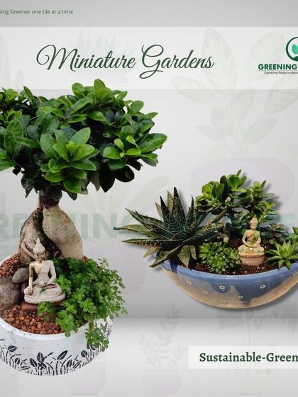 Greening Wonders - Corporate & Personal Plant Gifting Miniature Gardens & Terrariums photo 5