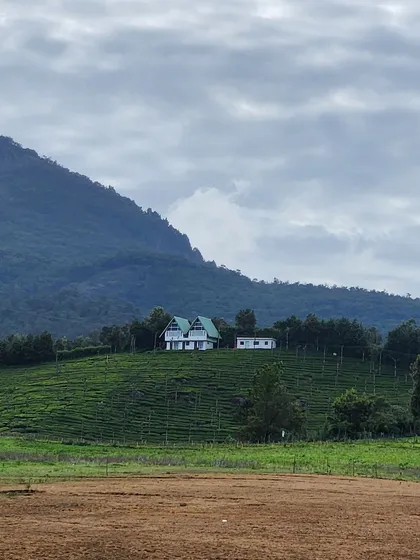 A lone house on a green hill, a classic mountain scene. We often stay in such peaceful and picturesque homestays.