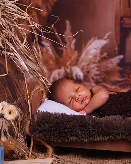 This shot captures the full rustic scene, with the baby sleeping soundly next to a tiny owl prop. The warm tones create a very comforting feel.