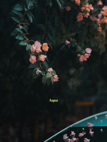 Garima Bhaskar - Photo & Video Editing Presets Aqua: Moody Blues & Greens for Travel photo 52