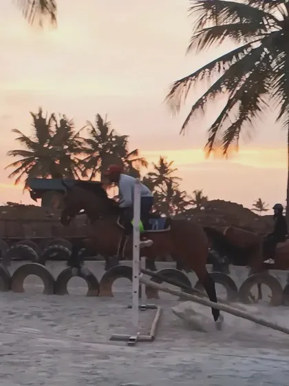 A rider and horse clear a jump against the beautiful sunset backdrop. Our arena is set up for show jumping practice for riders of various skill levels.