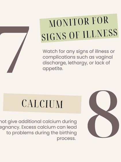 Furever Safe - Pet Boarding & Day Care Pet Parent Resources photo 9