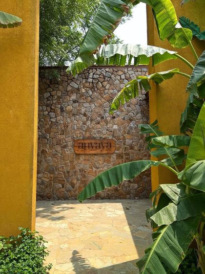 Your arrival at Anvaya is framed by lush banana leaves and a natural stone wall, setting a tranquil tone from the very first moment.