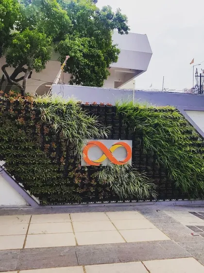 This is a finished vertical garden I installed for a Pantaloons retail store in Patna, featuring their brand logo integrated directly into the living wall design.