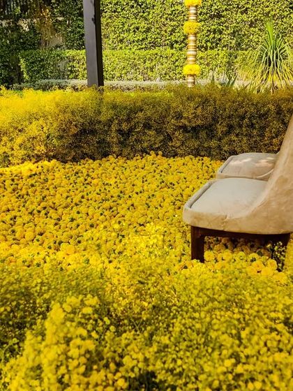 Elegant Daytime Celebrations photo 30