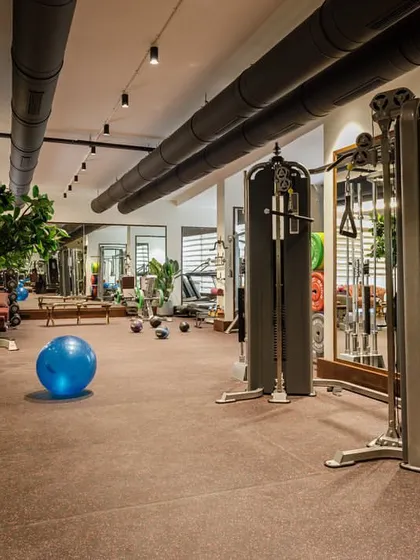This angle shows the open layout of the gym floor, with exposed ceiling ducts for an industrial touch. Potted trees add a natural element, making the space feel less like a basement and more like a wellness retreat.