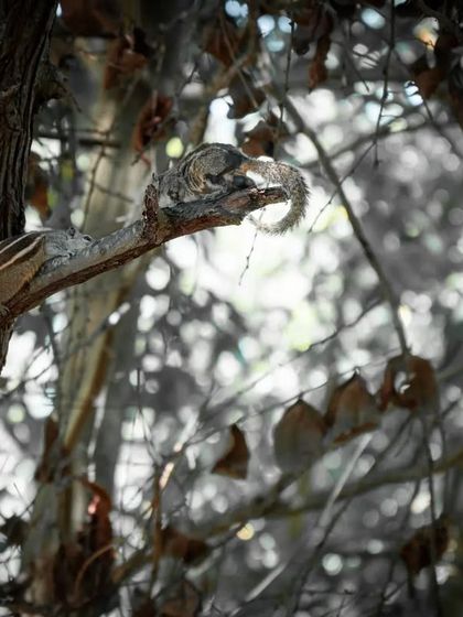 Zahid Moledina - Photography The World Up Close: Nature & Macro photo 11