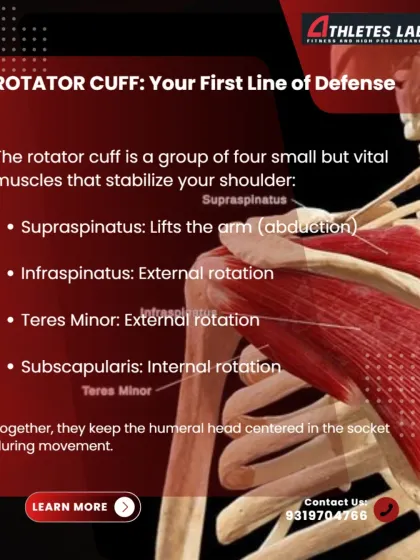 The rotator cuff is your shoulder's first line of defense. We break down the four muscles of the rotator cuff and their specific functions, from lifting the arm to rotating it, which together keep the shoulder joint centered and stable.