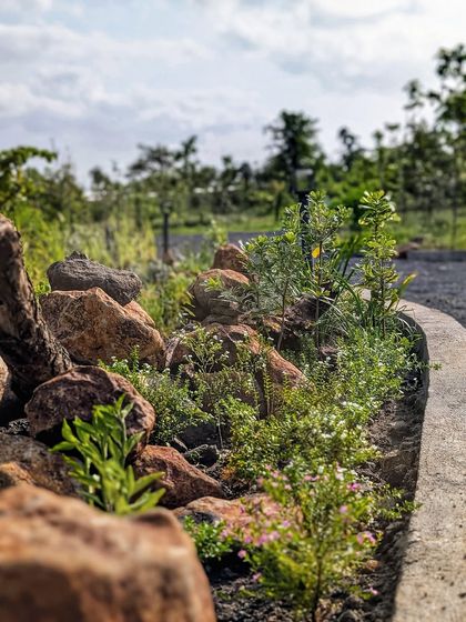 The challenge in a wild space is to add something new without it being obvious. The rock and plant borders we created for this resort near a Tiger Reserve look as if they were always meant to be there.