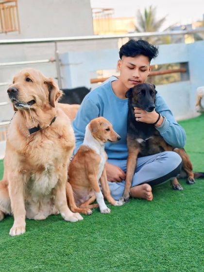 A team member with his fan club. The dogs love everyone on our team.