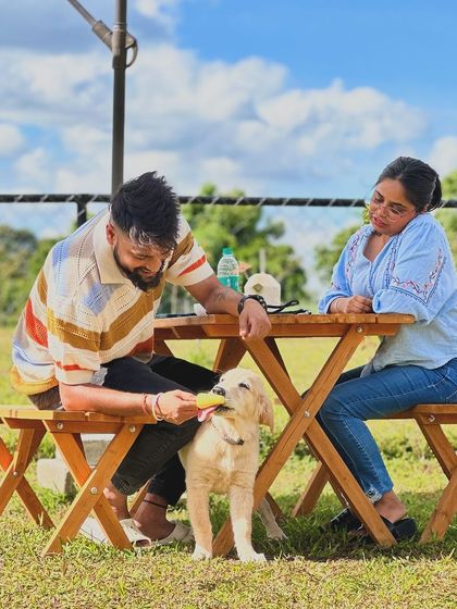 The Pawsome Camp - Dog Park & Pool Paws & People: A Community of Dog Lovers photo 23