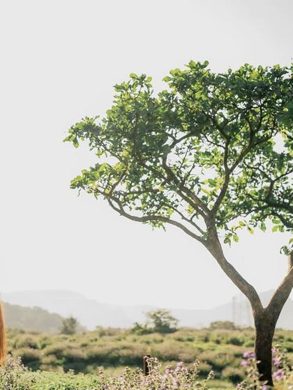 Romance in Nature photo 34