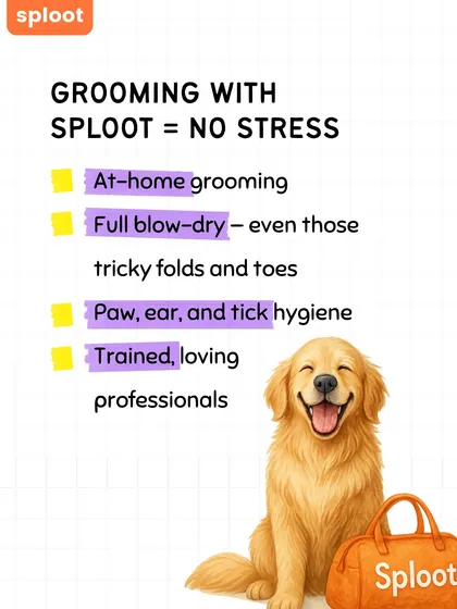 No stress, just a happy, clean dog. Our at-home grooming includes a full blow-dry to get into those tricky folds, plus thorough paw, ear, and tick hygiene checks. It’s all done by our trained, loving professionals who make sure your dog is comfortable from start to finish.