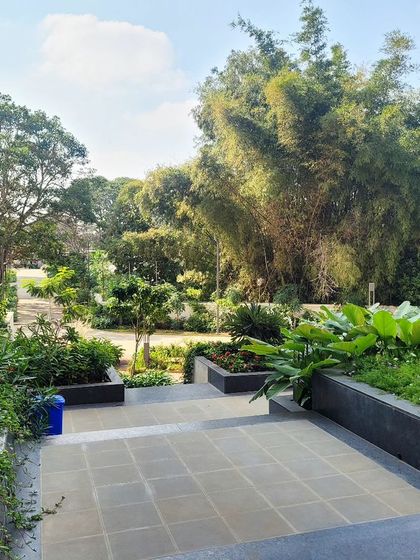 From this vantage point, you can see the layers of the landscape design. The steps lead down into a lush garden filled with a variety of textures and shades of green, from manicured planters to towering bamboo.