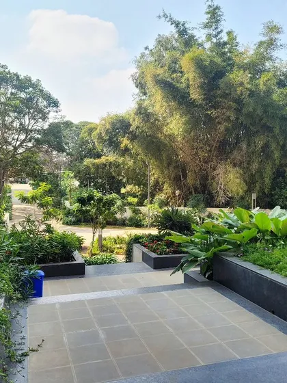 From this vantage point, you can see the layers of the landscape design. The steps lead down into a lush garden filled with a variety of textures and shades of green, from manicured planters to towering bamboo.