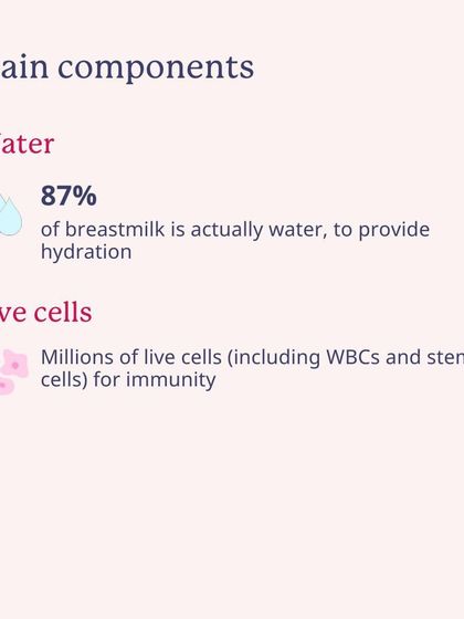 The main components of breast milk include 87% water for hydration and millions of live cells for immunity.
