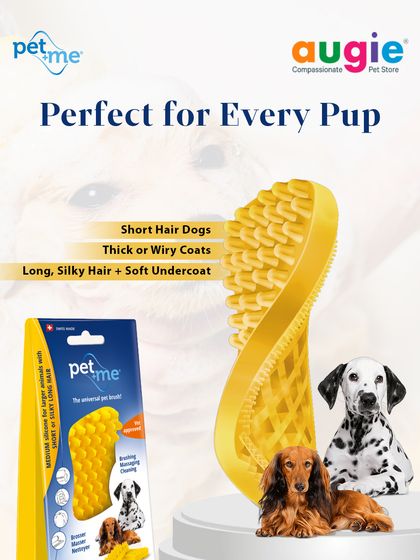 Augie Pets - Pet Supplies Spa Day at Home: Gentle Grooming Essentials photo 30