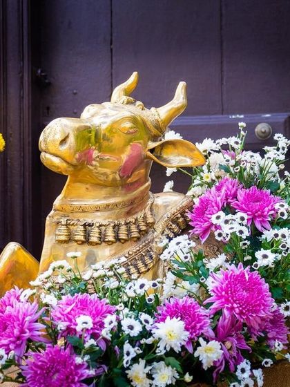 The golden Nandi statue surrounded by vibrant pink and white chrysanthemums, greeting guests at the door.