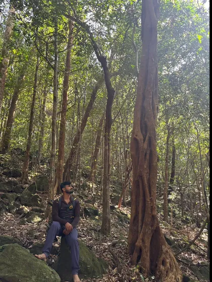 A trekker sitting in the ancient, dense forest of Narasimha Parvatha.
