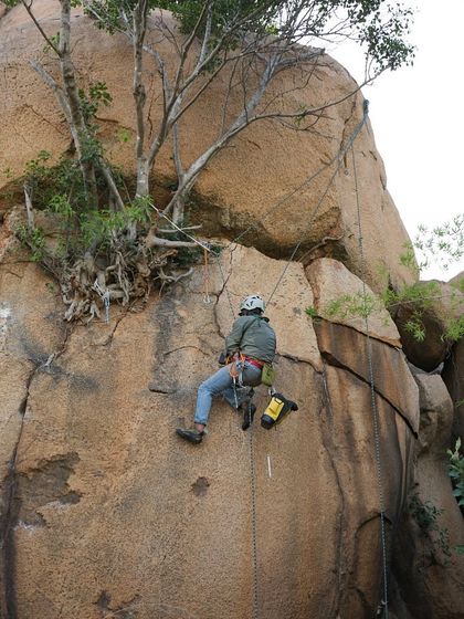 Route development in action. Here, a climber is equipped with a power drill, preparing to place bolts on a new line. This is the hard work that goes into creating safe, accessible sport climbs for the community.