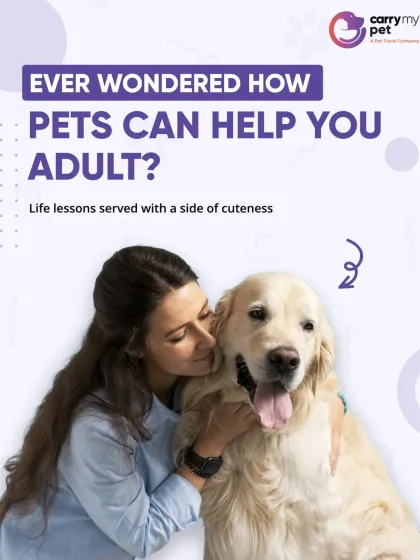 CarryMyPet - Pet Travel & Parenting Consultation The Heart of a Pet Parent photo 10