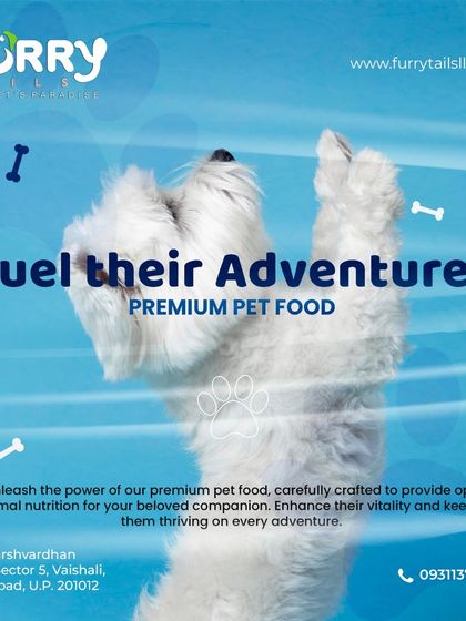 Fuel your pet's adventures with our premium food options. This energetic dog represents the vitality and health that comes from a diet rich in high-quality ingredients and essential nutrients.