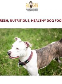 Natural Dog Treats