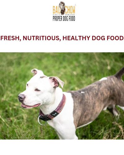 Natural Dog Treats