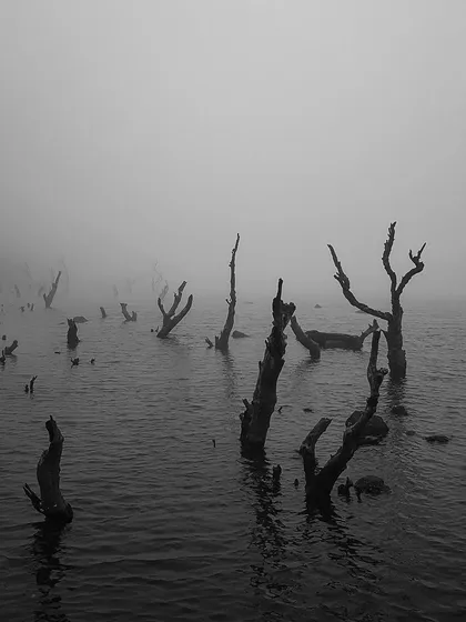 A monochrome shot from a foggy morning at the lake. I use black and white photography to strip away distractions and focus on the eerie, atmospheric feeling of a place, turning a simple waterscape into fine art.
