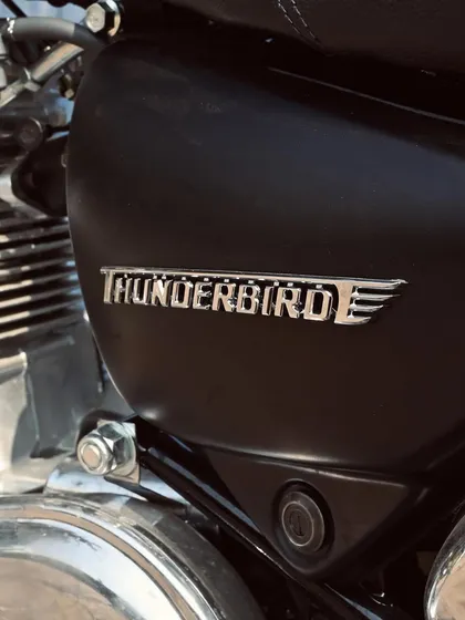 A close-up of the iconic Thunderbird logo on the side panel of the restored 2003 model.