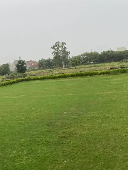 A beautiful, expansive lawn I installed. This kind of open green space is ideal for events, family gatherings, or just enjoying the outdoors.