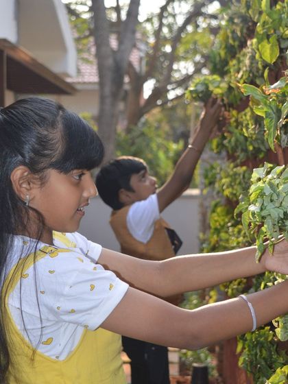Bangalore Gardens - Vertical & Rooftop Gardening Vertical Garden Installations photo 3