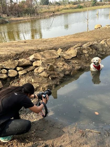 Sniff Stories - Pet Videography Building Trust, One Paw at a Time photo 3