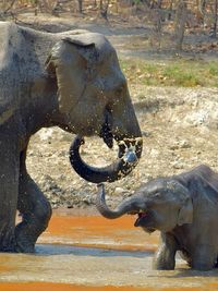 Travel & Documentary Photography