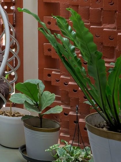 Archemist Architects - Turnkey Residential Design & Build Project Showcase: The Kadambini Residence photo 19